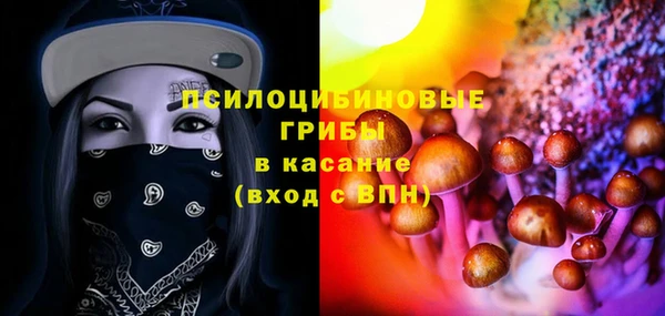 метадон Медвежьегорск