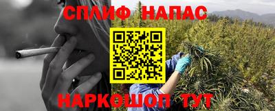 альфа пвп Волгодонск