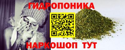 дживик Волжск