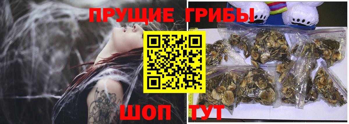 купить   Галлюциногенные грибы прущие грибы  Вход с VPN  Зеленокумск 